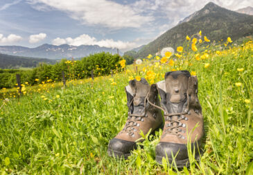 7-tägige Wanderreise von Deutschland über Österreich nach Südtirol inkl. Übernachtung, Frühst...