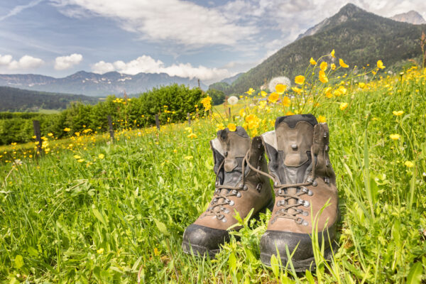 Deutschland Bodensee Wandern