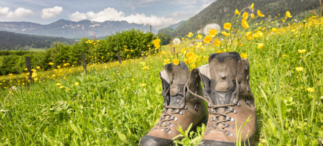 7-tägige Wanderreise von Deutschland über Österreich nach Südtirol inkl. Übernachtung, Frühstück & mehr ab 729€