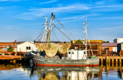 Kuschelwochenende an der Nordsee: 3 Tage Büsum im schicken 4* Boutiquehotel am Wattenmeer ink...