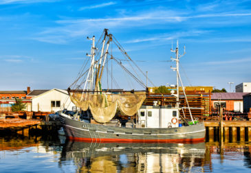 Kuschelwochenende an der Nordsee: 3 Tage Büsum im schicken 4* Boutiquehotel am Wattenmeer ink...