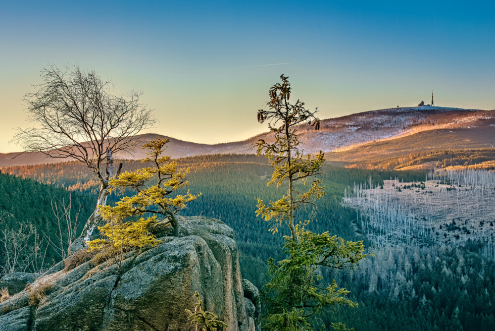 Deutschland Harz Brocken Sonnenaufgang