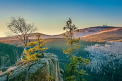 Wellness zum Special Preis: Gutschein für 3 Tage Auszeit im Harz im 4* Wellness-Hotel mit Frü...