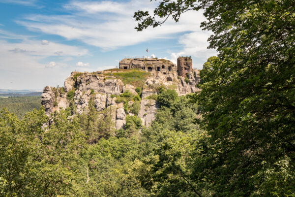 Deutschland Harz Burg Regenstein