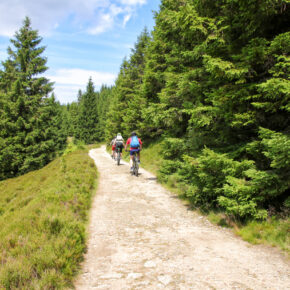 Entspannung im Harz: 4 Tage All Inclusive in idyllischer Unterkunft ab 99€