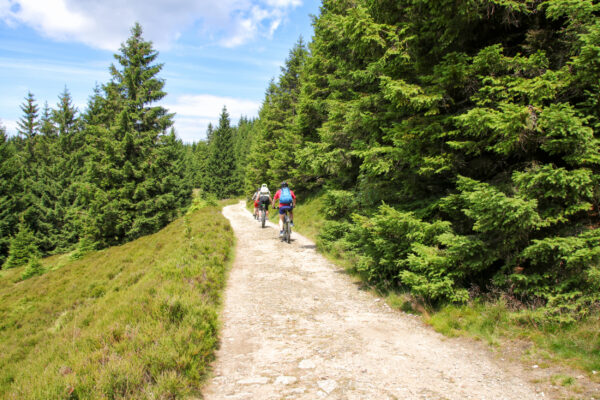 Deutschland Harz Radfahren