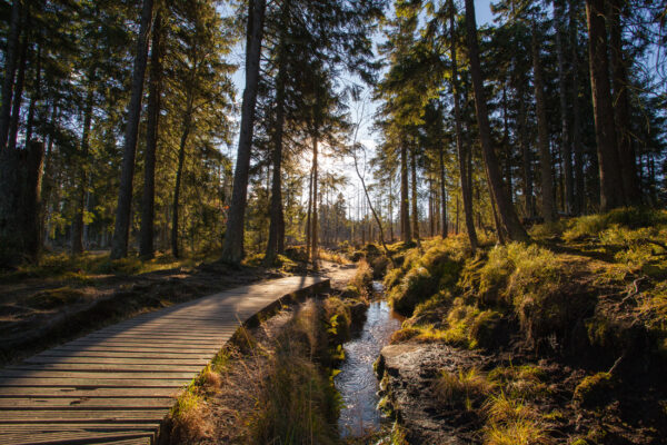 Deutschland Harz Wandern