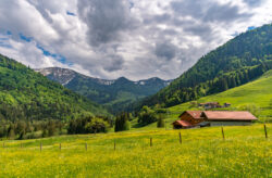 Wellness-Auszeit im Allgäu: 3 Tage im TOP 4* Hotel mit Halbpension & Extras nur 169€