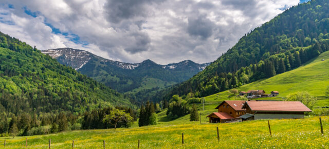 Wellness-Auszeit im Allgäu: 3 Tage im TOP 4* Hotel mit Halbpension & Extras nur 169€