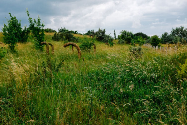 Rügen Urlaub: Arkona Bunker