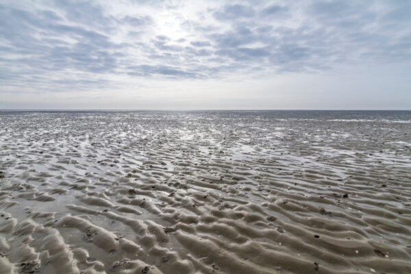 Deutschland Scharhorn Wattenmeer