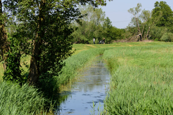 Deutschland Spreewald Bach