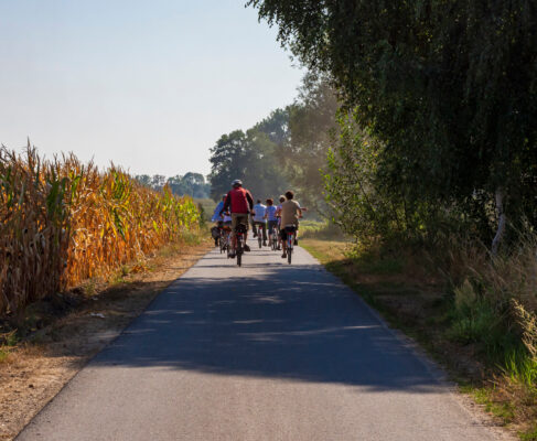 Deutschland Spreewald Fahrradfahren