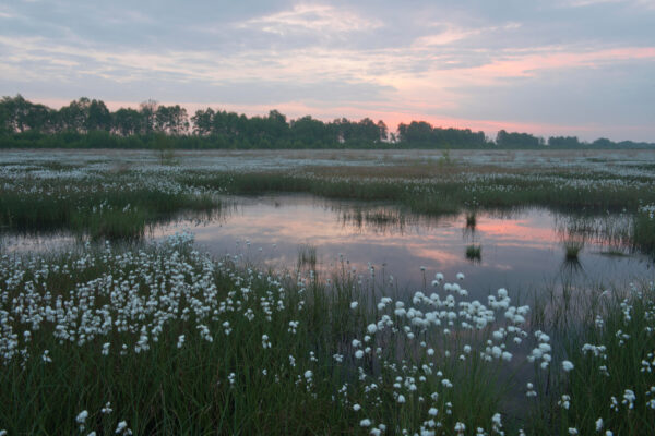 Deutschland Emsland Moor