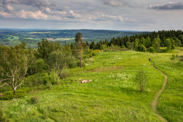 Deutschland Teutoburger Wald