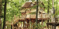 Tripsdrill Baumhaus: 2 Tage Familienspaß im Natur-Resort Tripsdrill & Wildparadies mit F...