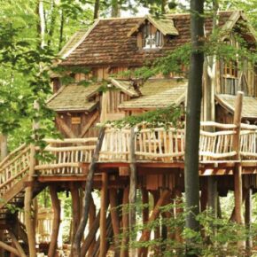 Tripsdrill Baumhaus: 2 Tage Familienspaß im Natur-Resort Tripsdrill & Wildparadies mit Frühstück ab 112€