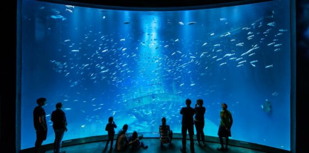 Ozeaneum Stralsund Aquarium