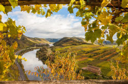 Romantisches Schlosshotel: 3 Tage an der Mosel im TOP 5* Hotel mit Halbpension und Weinverkos...