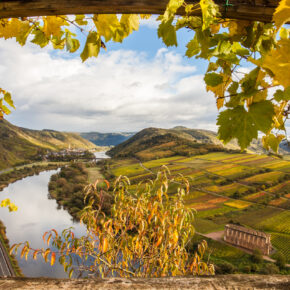 Kurztrip an die Mosel: 3 Tage Trier im TOP 4.5* Hotel inklusive Frühstück & Spa nur 99€