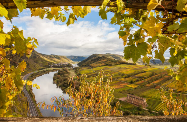 Deutschland Mosel Herbst