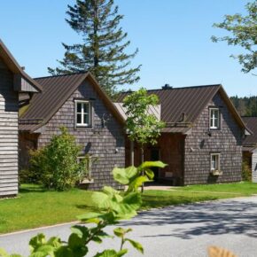 Nationalpark Harz: 2 Tage im 4* Resort mit Frühstück & Wellness nur 66€