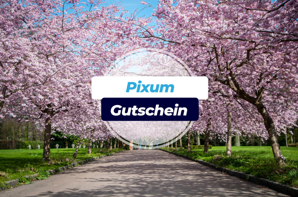 Pixum Gutschein 10 Auf Euere Nachste Bestellung Sparen
