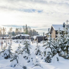 Winterzauber in Belgien: 5 Tage im Center Parcs Ferienhaus mitten im Wald ab 43€