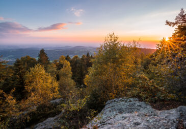 Auszeit im Bayerischen Wald: 4 Tage im guten Hotel mit All Inclusive & Wellness nur 149€