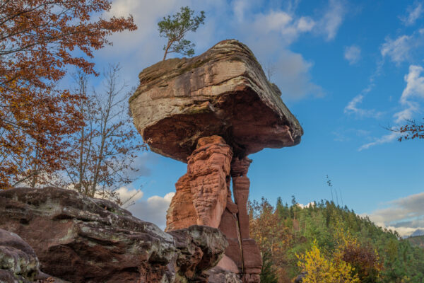 Deutschland Pfälzer Wald