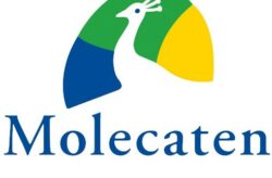 Molecaten Gutschein:  Rabatt & Angebote | Mai 2025
