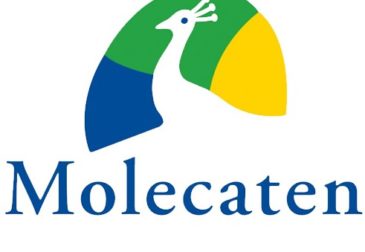 Molecaten Gutschein: 8% Rabatt & Angebote | Juni 2025