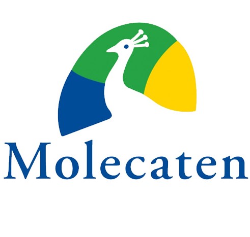 Molecaten Logo