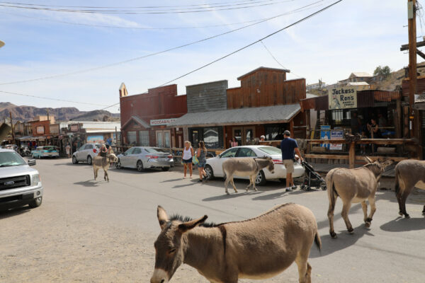 USA Arizona Oatman