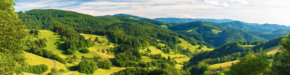 Schwarzwald Landschaft Pano