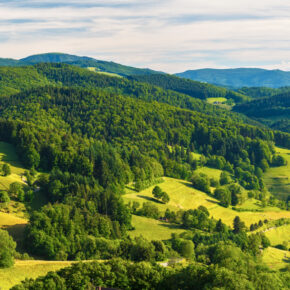 Kulinarik-Trip im Schwarzwald: 3 Tage im 3* Hotel mit Halbpension, Bauernräucherei, Wellness & kulinarische Extras ab 189€