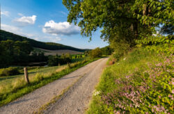 Auszeit im Sauerland: Gutschein für 4 Tage im 4* Sporthotel Zum Hohen Eimberg inkl. Halbpensi...