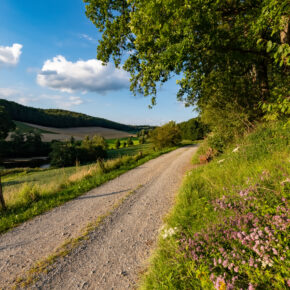 Auszeit im Sauerland: Gutschein für 4 Tage im 4* Sporthotel Zum Hohen Eimberg inkl. Halbpension & Extras nur 200€