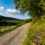 Auszeit im Sauerland: Gutschein für 4 Tage im 4* Sporthotel Zum Hohen Eimberg inkl. Halbpension & Extras nur 200€