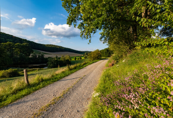 Sauerland Landschaft