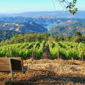 USA Roadtrip: 9 Tage mit dem Auto durch Nordkalifornien nur 2159€ p.P.