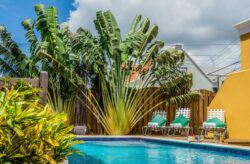 Karibisches Flair auf Curaçao: 9 Tage im schönen 3* Hotel inklusive Flug & Transfer nur ...