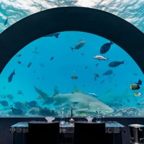 Unterwasser-Restaurant des You & Me Cocoon Maledives