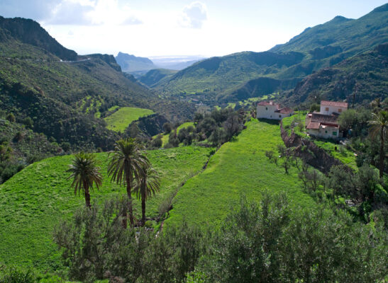 Gran Canaria Agüimes Temisas