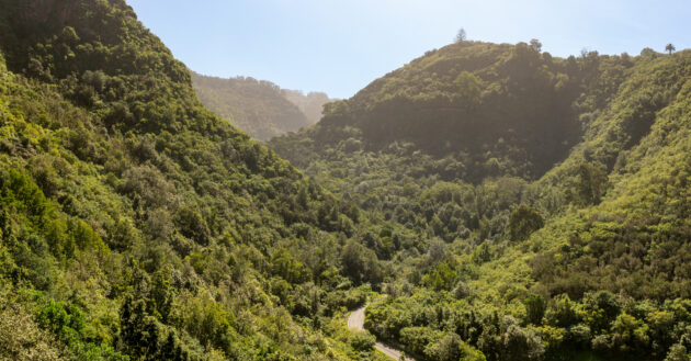 Gra Canaria Los Tilos de Moya