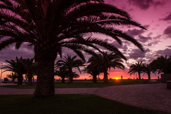 Gran Canaria Meloneras by night