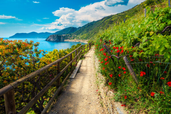 Italien Cinque Terre Wandern