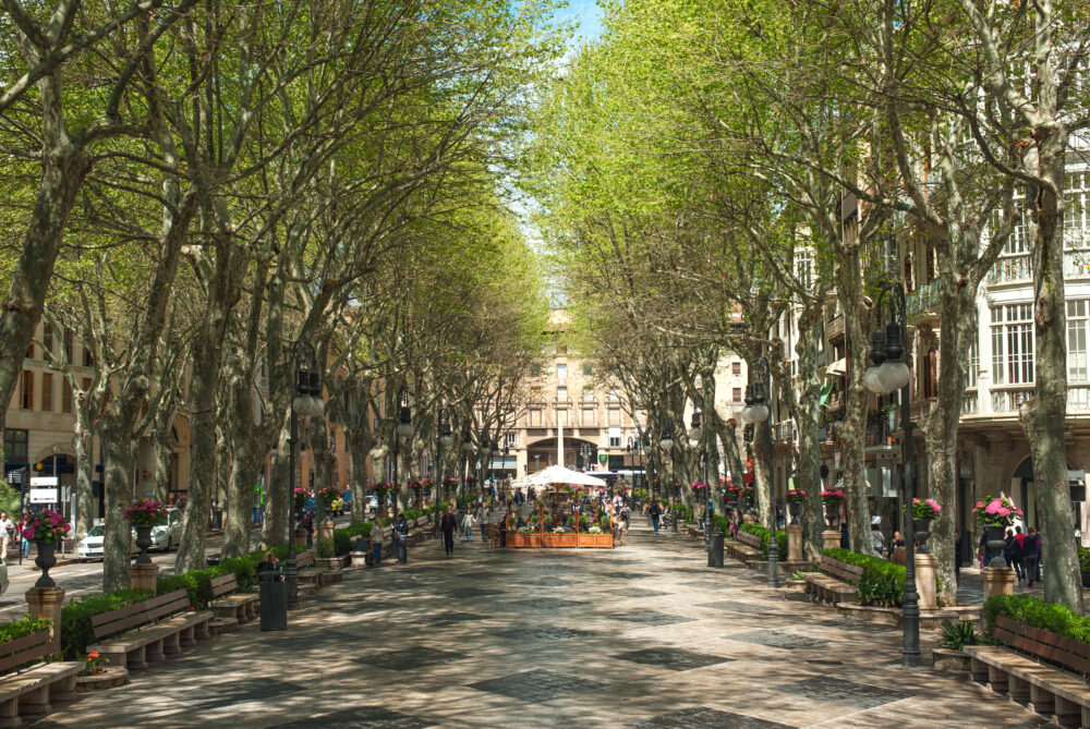 Spanien Mallorca Palma Boulevard Borne