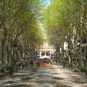 Spanien Mallorca Palma Boulevard Borne