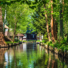 Urlaub im Spreewald: Die besten Tipps für Aktivitäten, Sehenswürdigkeiten & die schönsten Orte